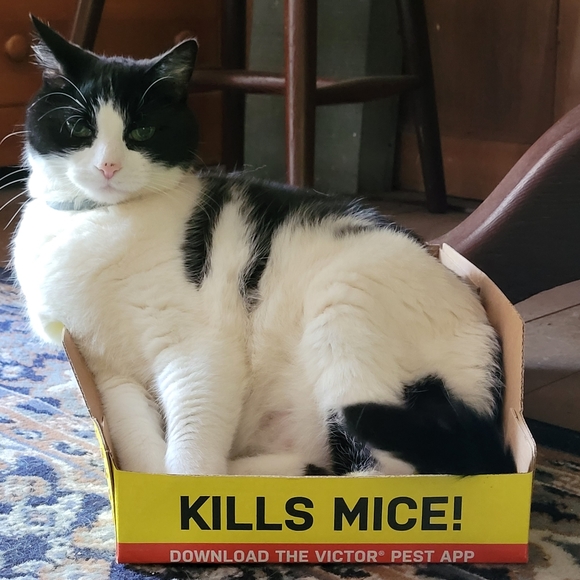 Meet your Posher, Kimberly - Picture 3 of 4